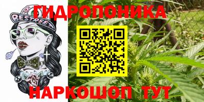 дурь Надым