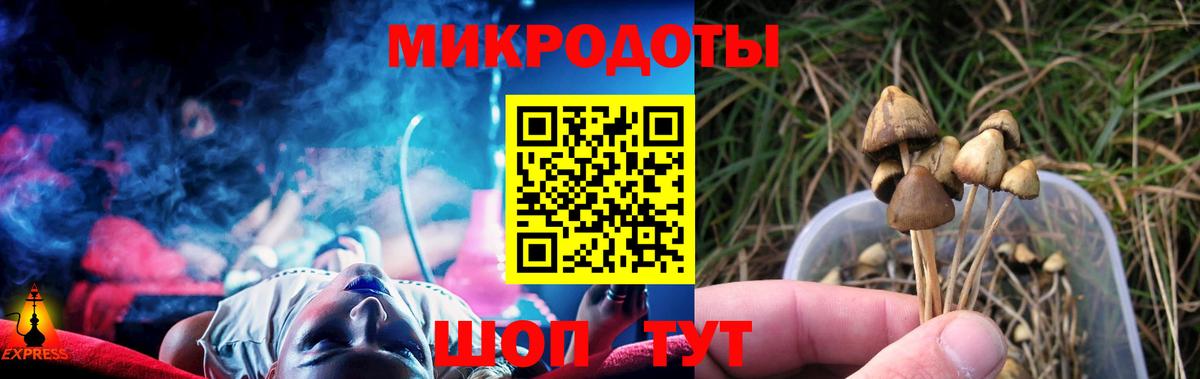 Псилоцибиновые грибы Magic Shrooms Магадан